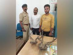 
      
      Two held for smuggling deer horns
      
      