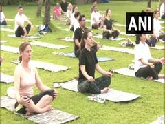 
      
      G20 delegates take part in Yoga session
      
      