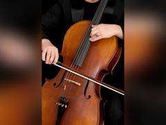 
      
      Music has power to prevent cognitive decline: Research
      
      