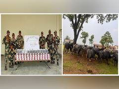 
      
      BSF Meghalaya rescues 22 cattle, spectacles worth Rs 16 lakh 
      
      