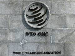 
      
      WTO must contribute solutions to global economic challenges: DG
      
      
