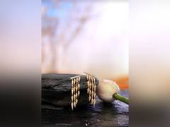 
      
      Celebrate Akshaya Tritiya with Tanishq's 'Stunning Every Ear'
      
      
