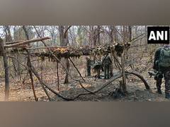 
      
      Naxal camp busted by STF in Chhattisgarh's Bijapur
      
      