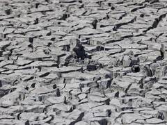 
      
      WMO annual report highlights continuous advance of climate change
      
      