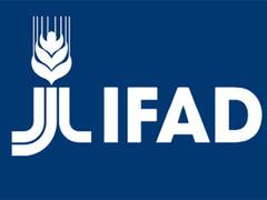 
      
      IFAD to help business work for farms in developing nations
      
      