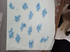 
      
      NCB seizes 60 grams of MDMA drugs worth Rs 5 lakh, two arrested
      
      