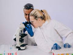 
      
      Study: Gene activity analysis aids in divison of brain disease
      
      