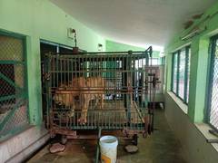 
      
      Special arrangements to protect animals from heat at Indore's Zoo
      
      