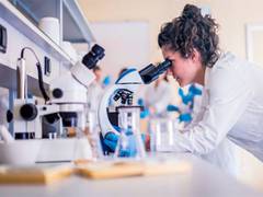 
      
      Drug resistance of leukaemia cells has links to mitochondria 
      
      