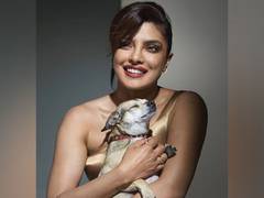 
      
      Priyanka Chopra reunited with her dog Diana
      
      