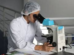 
      
      Scientists may study thrombosis without use of animal models
      
      