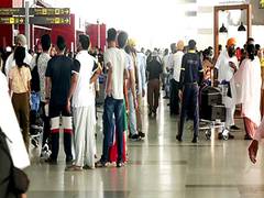 
      
      Passenger blames Air India staff after kitten goes missing
      
      