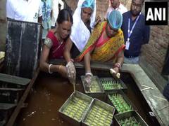 
      
      Women in Bihar's Gaya earn livelihood from 'Neera' ice creams
      
      
