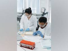 
      
      Study develop screening technique for Type 1 diabetes treatment
      
      
