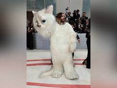
      
       Met Gala 2023: Jared Leto transforms into Karl Lagerfeld's cat
      
      