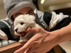 
      
      Kartik Aaryan drops adorable picture with his pet Katori
      
      