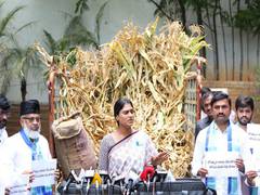 
      
      YS Sharmila sends truck full of damaged crops to Telangana CM KCR
      
      
