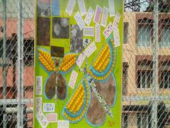 
      
      Using junk, waste materials to embellish this northeastern city
      
      