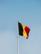 
      
      Belgium detains seven suspected of planning terror attack
      
      
