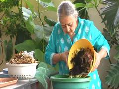 
      
      60-yr old Worm Rani, inspiring youngsters to produce 'Black Gold'
      
      