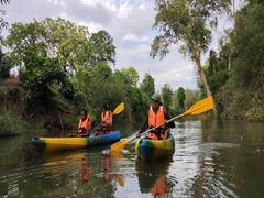 
      
      Natural beauty, jobs scripting Bastar's turnaround: Officials
      
      