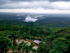 
      
      Mystery of Amazonian 'black earth' may help global reforestation
      
      