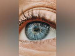 
      
      Study reveals human eyes play 'tricks' on minds
      
      