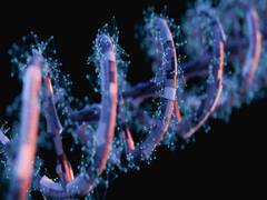 
      
      AI software allows quick, reliable images of protein in cells
      
      
