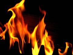 
      
      Short circuit triggers fire in Delhi residential building
      
      