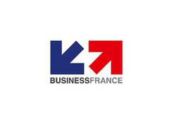 
      
      France ranks 1st for Foreign Direct Investments in Europe
      
      