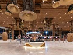 
      
      Bengaluru Airport's T2 receives IGBC platinum rating
      
      