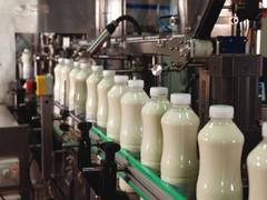 
      
      Israeli start-up paves way for eco-friendly 'cowless' dairy
      
      