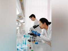 
      
      Study illustrates how cells choose DNA repair methods
      
      