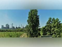 
      
      Hindustan Zinc Nurturing Biodiversity with Miyawaki Plantation
      
      