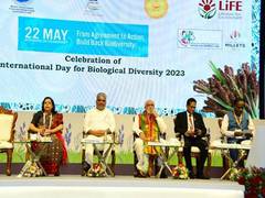 
      
      International Biodiversity Day is about the need to create enviro
      
      