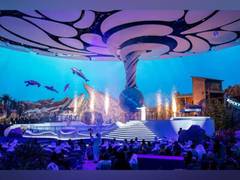 
      
      SeaWorld Yas Island, Abu Dhabi celebrates opening
      
      