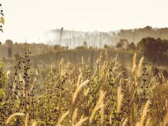 
      
      Kisan Sampark Abhiyan: 1.5 lakh farmers participate across J-K
      
      