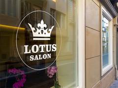 
      
      Lotus Salon opens franchise option to all
      
      