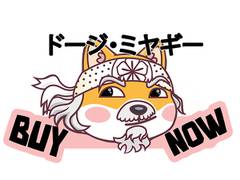 
      
      Make Sure Your Crypto Is Secure! Solana, Avalanche, DogeMiyagi
      
      