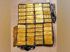 
      
      DRI, Coast Guard recover gold worth Rs 20 cr; foil smuggle bid
      
      