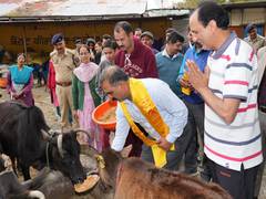 
      
      committed to resolving stranded animal issue: HP CM 
      
      