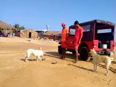 
      
      Two stray dogs in Varanasi catch attention of foreigners
      
      