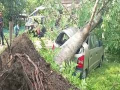 
      
      Severe storm and rain hit Jorhat damaging houses and trees
      
      