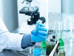 
      
      Study predicts the effects of genetic mutations on RNA formation
      
      