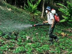 
      
      Pesticides that could influence Parkinson's disease: Study
      
      