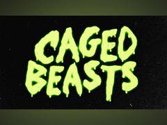 
      
      5 ways that Wall Street Memes, AiDoge, and Caged Beasts Shine
      
      