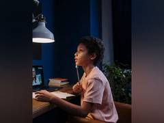 
      
      How network structure affects judgement, study finds
      
      