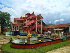 
      
      North India's monastic communities shaping green initiatives
      
      
