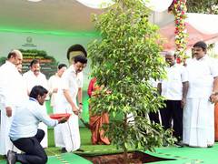 
      
      Tamil Nadu CM Stalin launches mass tree planting drive
      
      