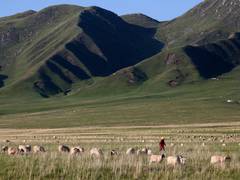 
      
      UKPNP expresses concern regarding illegal land grabbing by Pak
      
      